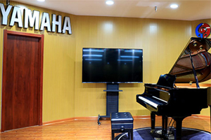 临沂雅马哈钢琴专卖店教您钢琴的保养秘籍 